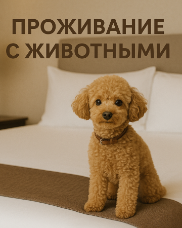 Проживание с животными Проживание с животными | Отель Юрзуф приглашает!