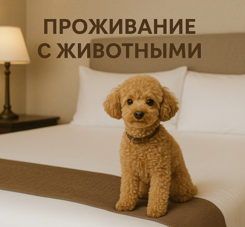 Проживание с животными - услуга гостиницы «Юрзуф»